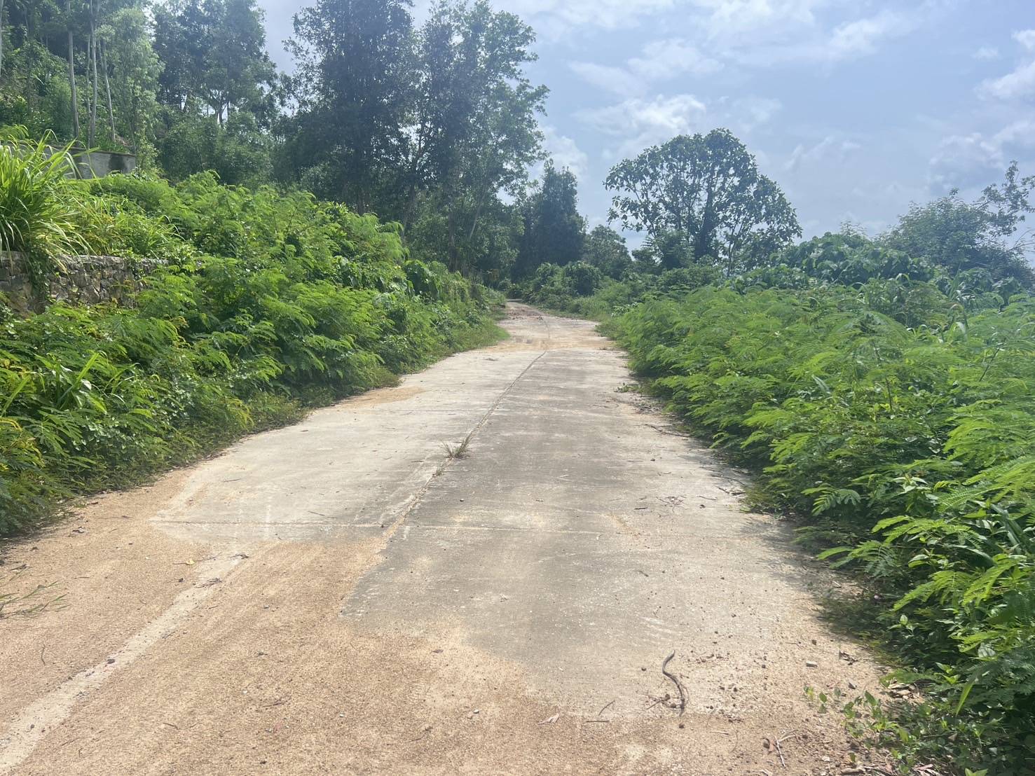 Sea View Land — Mai Khao