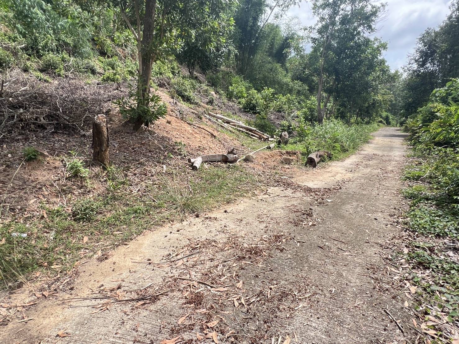 Sea View Land — Mai Khao