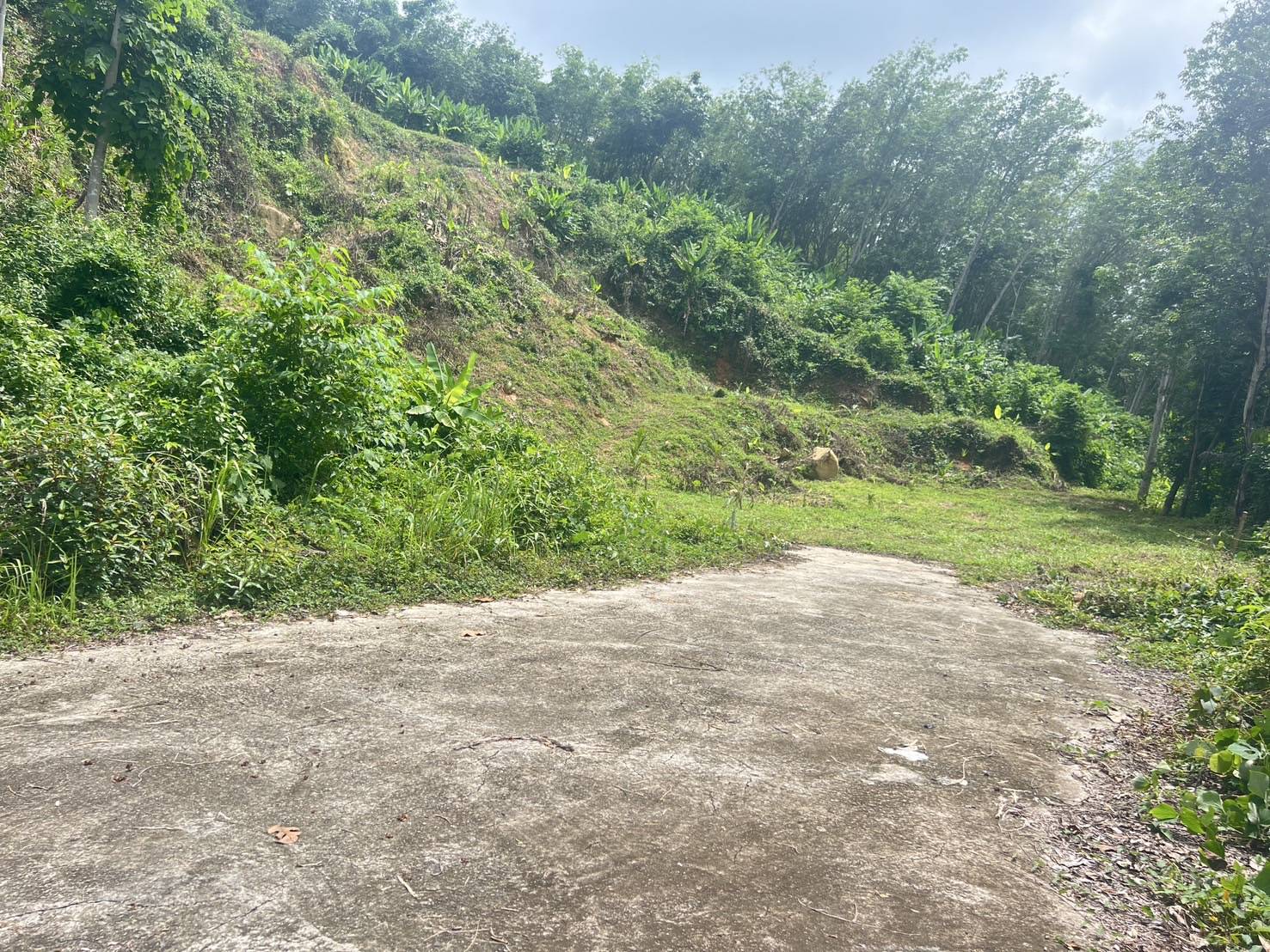 Sea View Land — Mai Khao