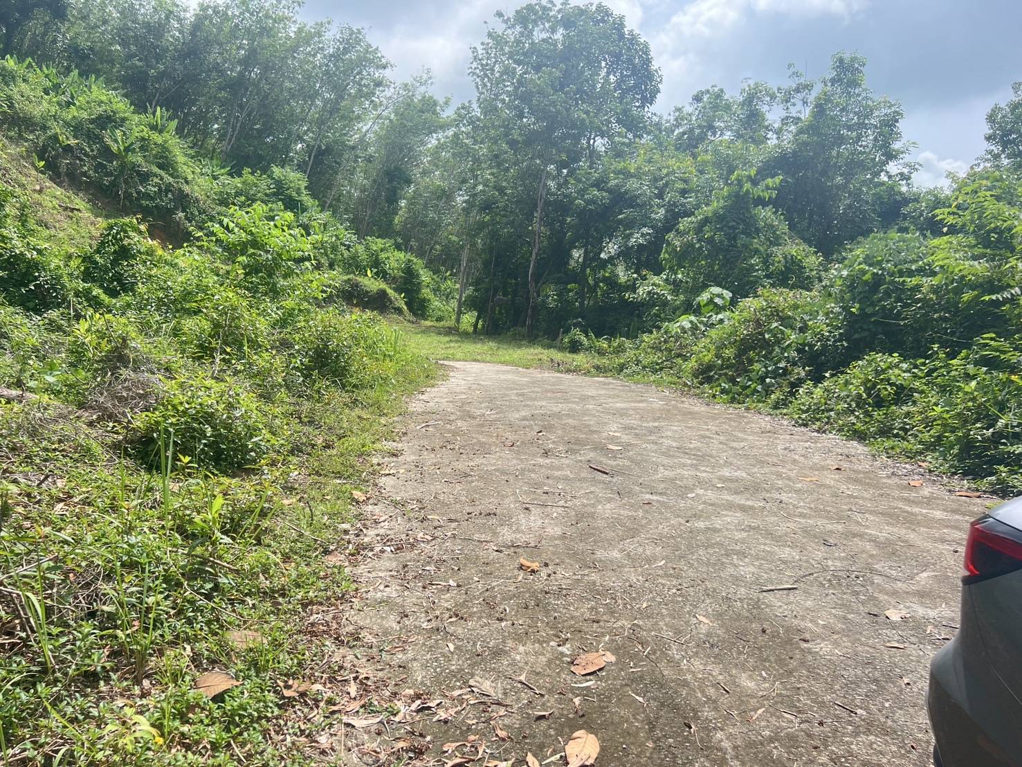 Sea View Land — Mai Khao